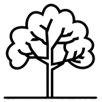 Taille de haie 45
